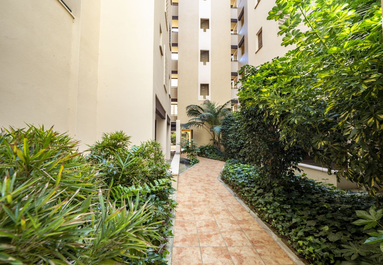 Apartamento em Punta del Moral - Los Pelicanos - Punta del Moral Beach PLHP39P38